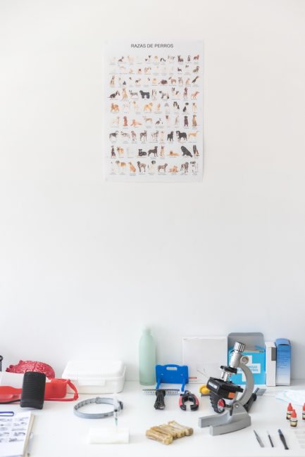 White wall with vet office supplies